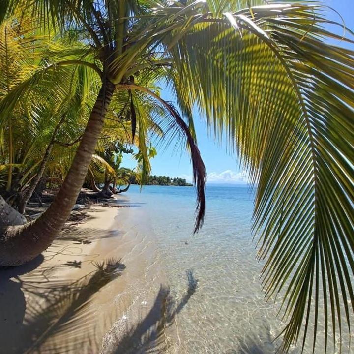 The Sunsetter Bed & Breakfast Bocas Town Exterior photo